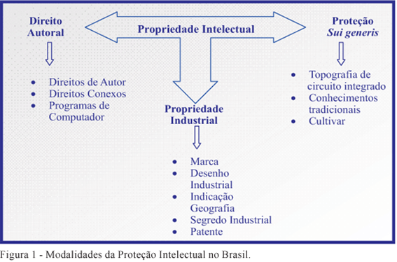 Fonte: ARAUJO, Elza Fernandes et al. Propriedade Intelectual: proteção e gestão estratégica do conhecimento. R. Bras. Zootec., Viçosa, v. 39, supl. esp, July 2010.