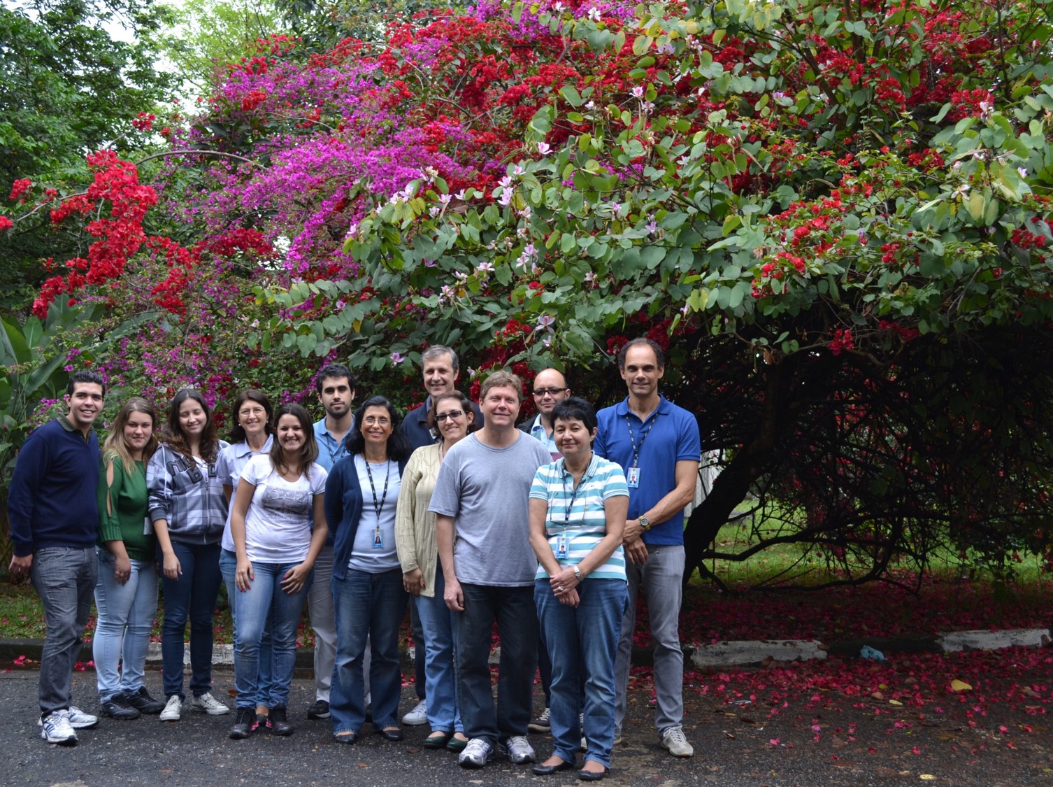 Fotografia da equipe da Gerência de Radiometria Ambientalcom árvores floridas ao fundo.